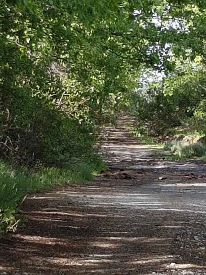 La Posada De Horcajuelo Horcajuelo de la Sierra Buitenkant foto